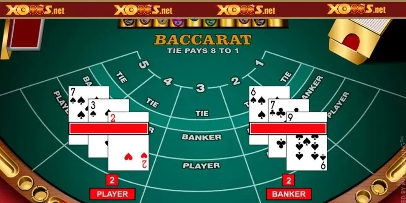 Các cửa cược phổ biến trong Baccarat online
