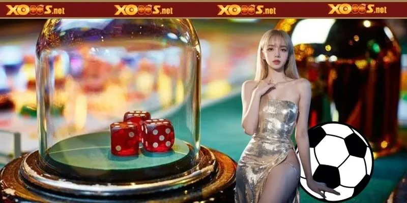 Hình thức cược phổ biến cùng các cách đọc